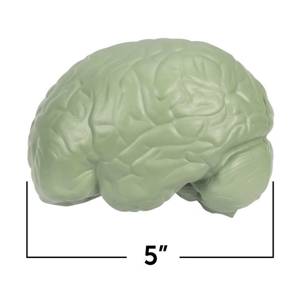 1903 crssec brain 4 sh 1
