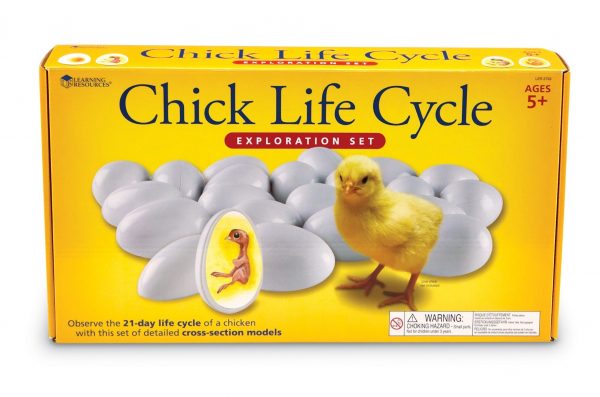 2733 chicklifecycle 22e0b4